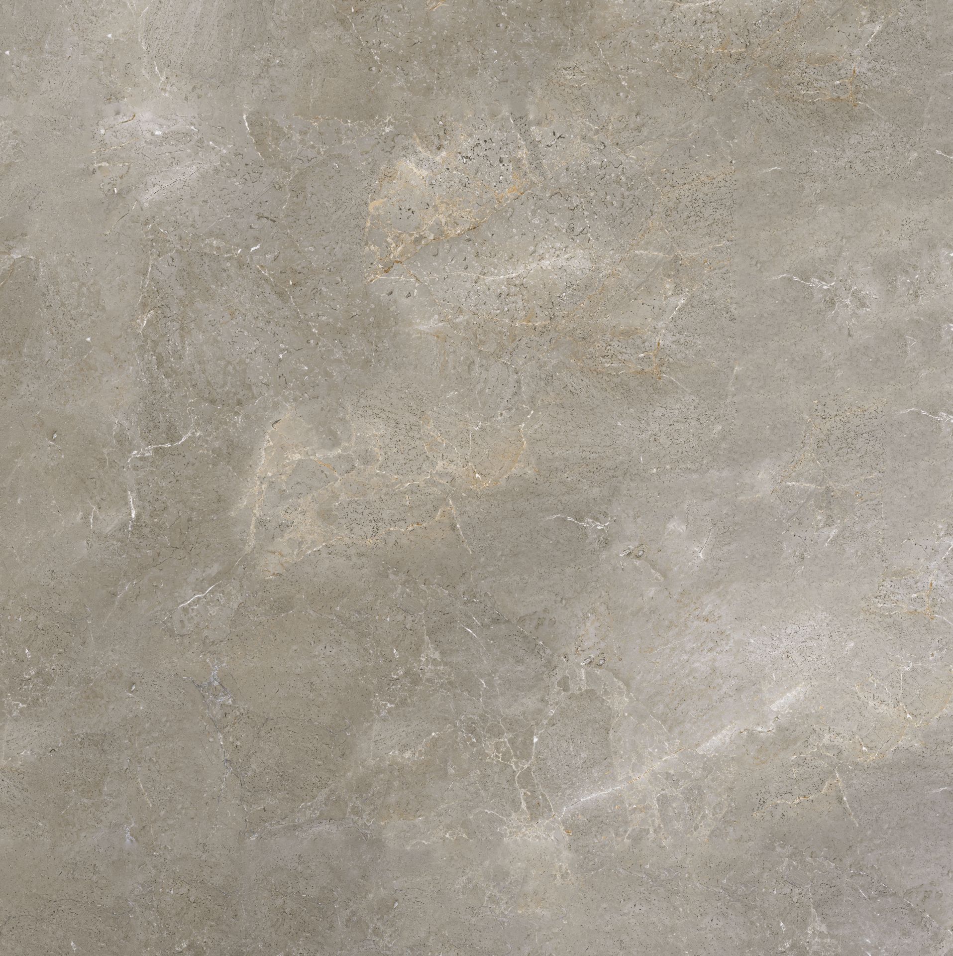 Palladium Grey Natural - Farbe: Palladium Grey